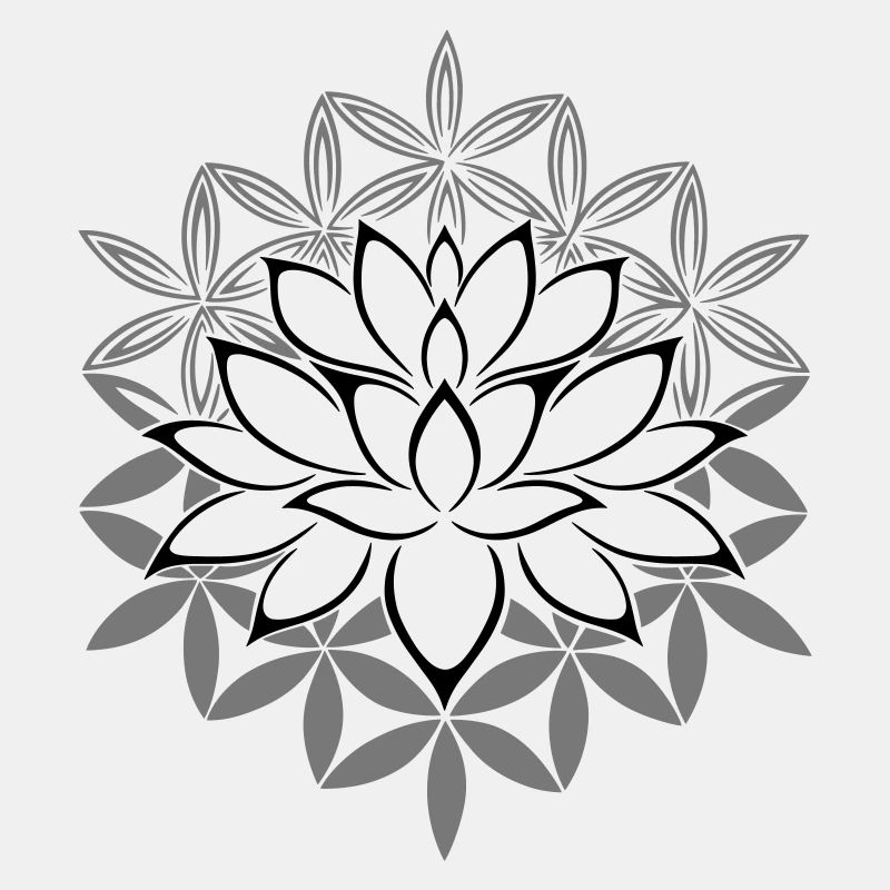 Lotus fleur de lotus fleur de vie