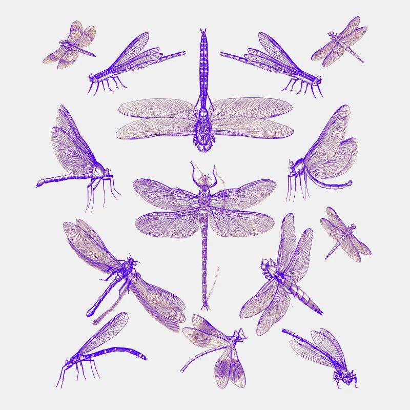 Libellen Insekten