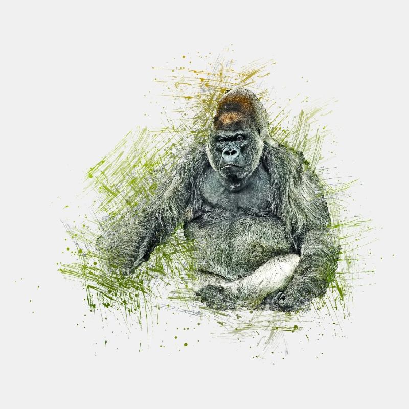 gorilla