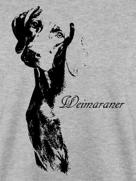 Weimaraner