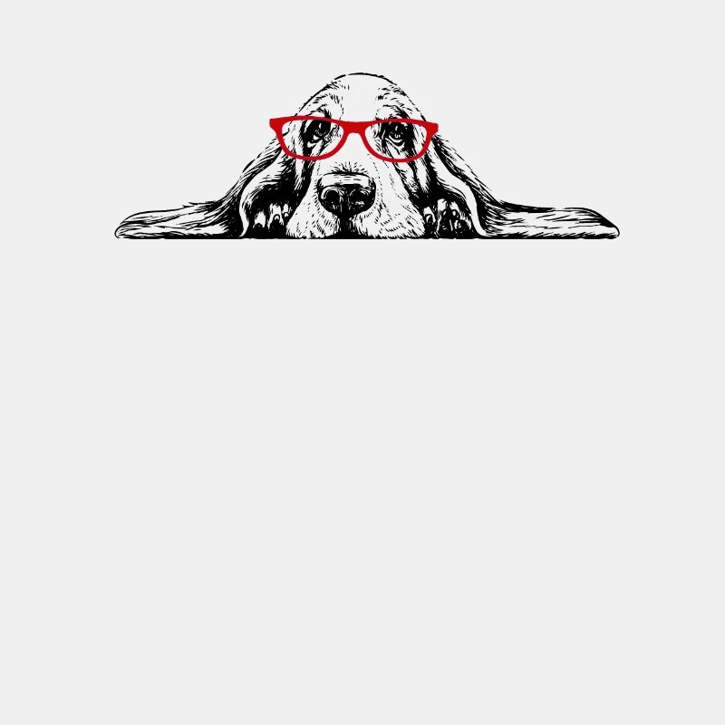 Basset Hound