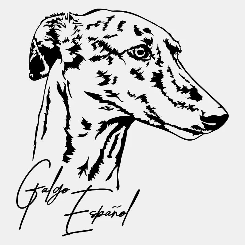 GALGO ESPANOL Portrait Windhunde Windhund Wilsigns