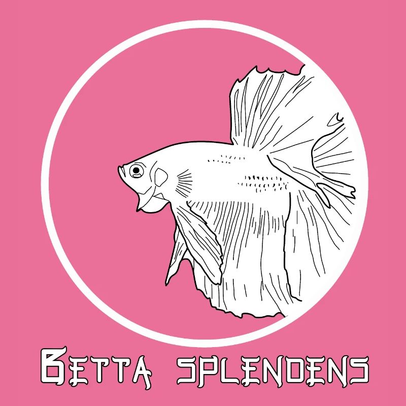 Betta splendens (Halfmoon)
