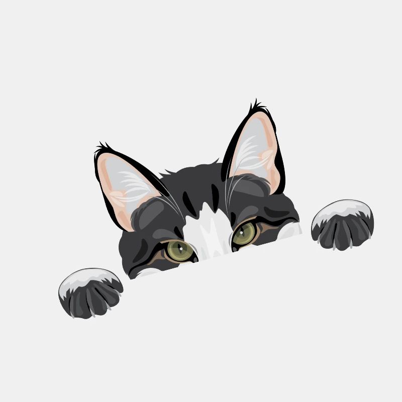 Peeping lustige Katze
