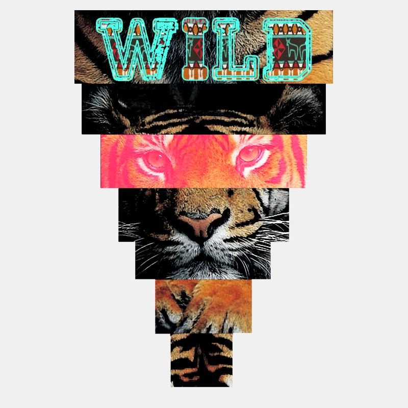 tiger21