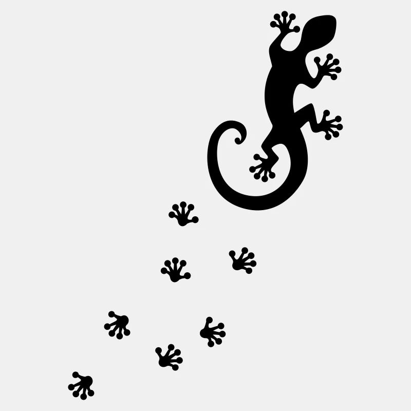 Gecko Footprint