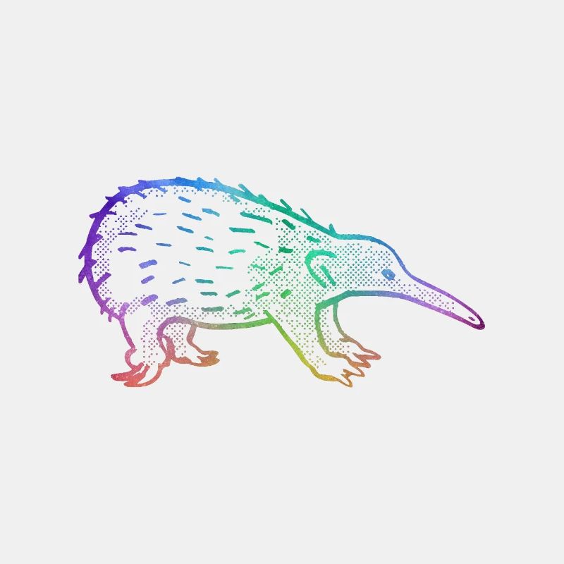 Short-beaked Echidna Australia