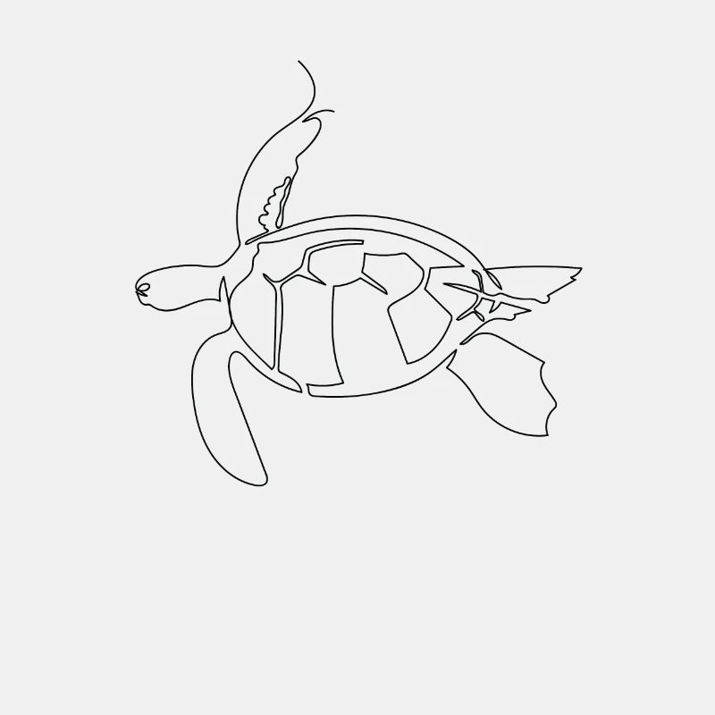 One line art drawn turtle