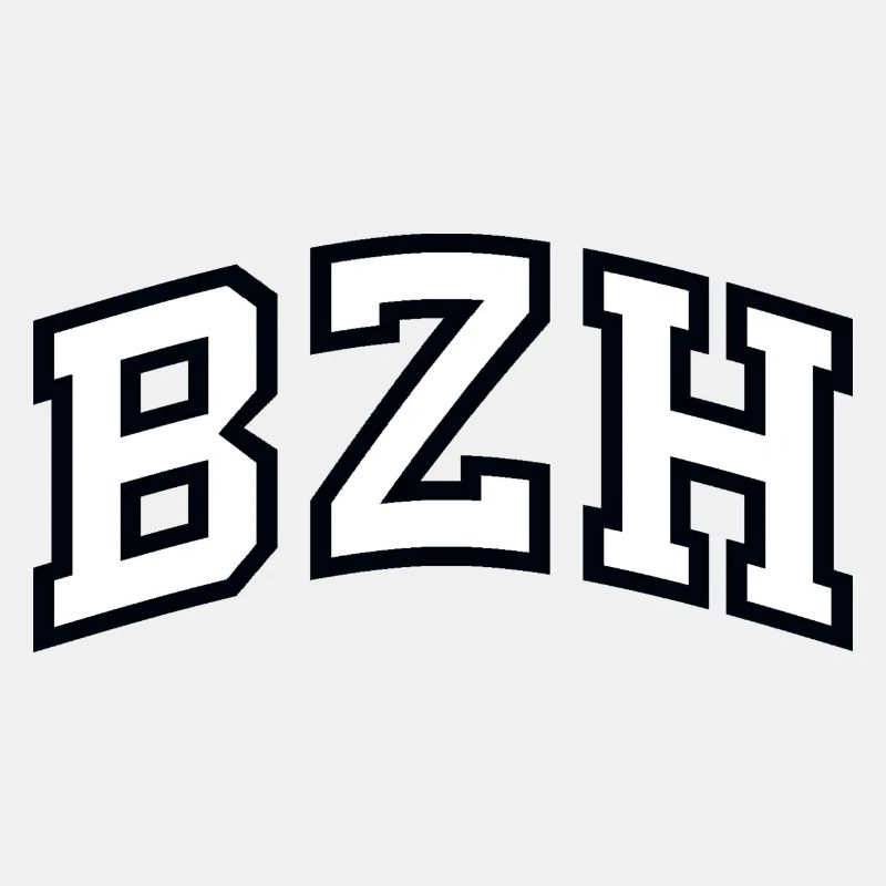 Das BZH