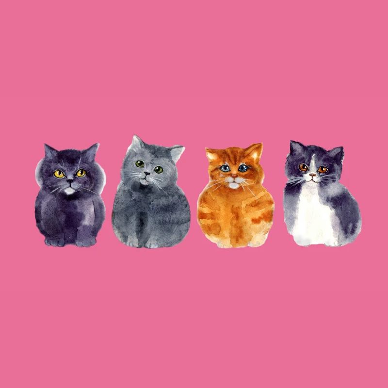 4 Katzen