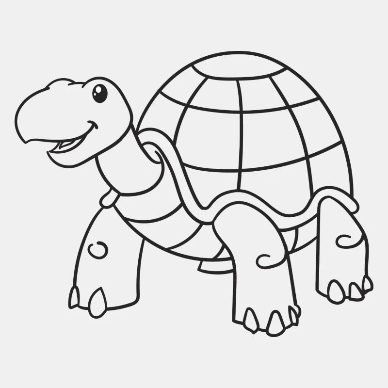 Schildkröte, Schildkröten, Geschenk, Geschenkidee
