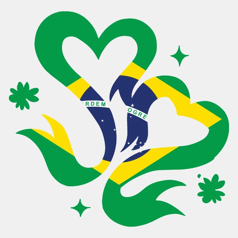 Drapeau du Brésil Drapeau de l’Amérique du Sud