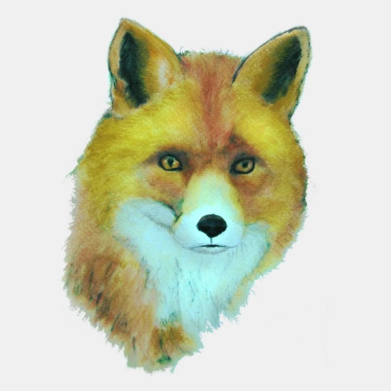Fuchs