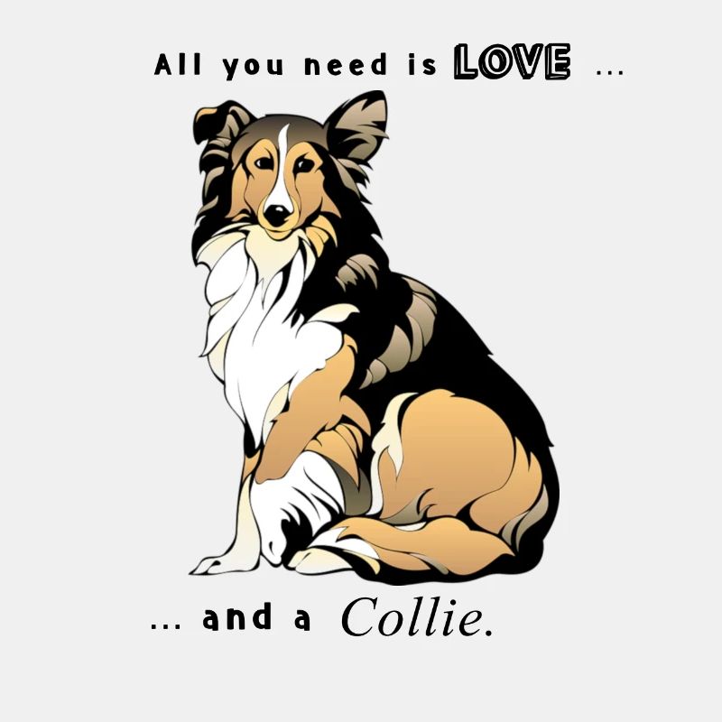 collie