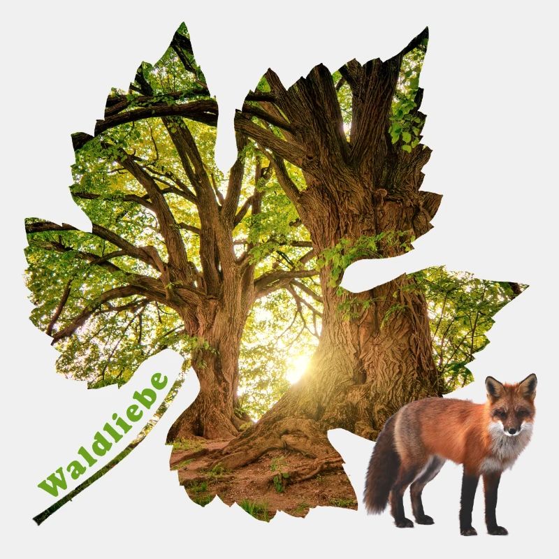 forest 48 with fox