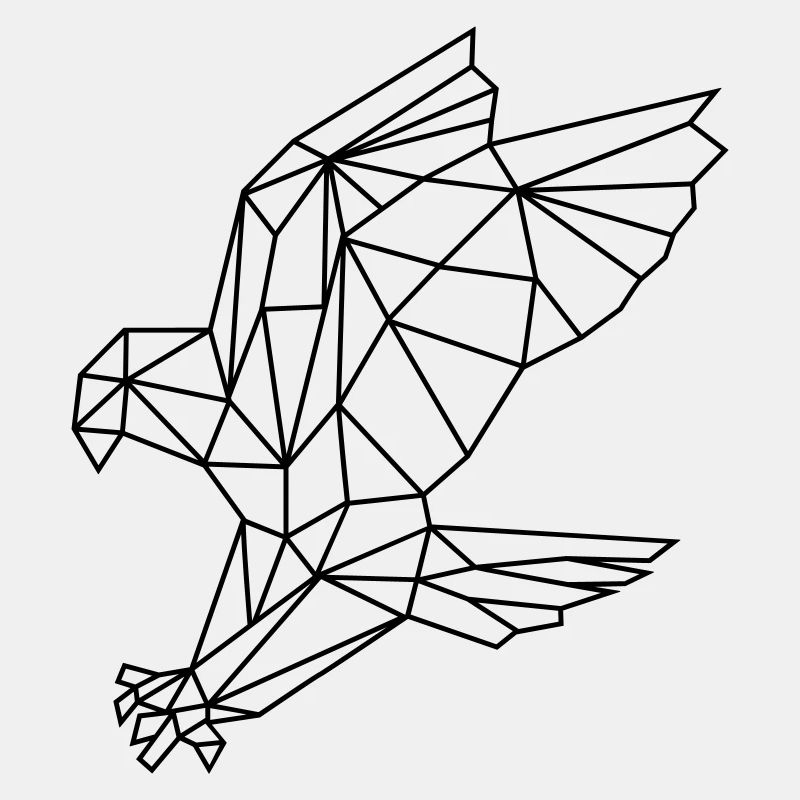 Adler | Polygone
