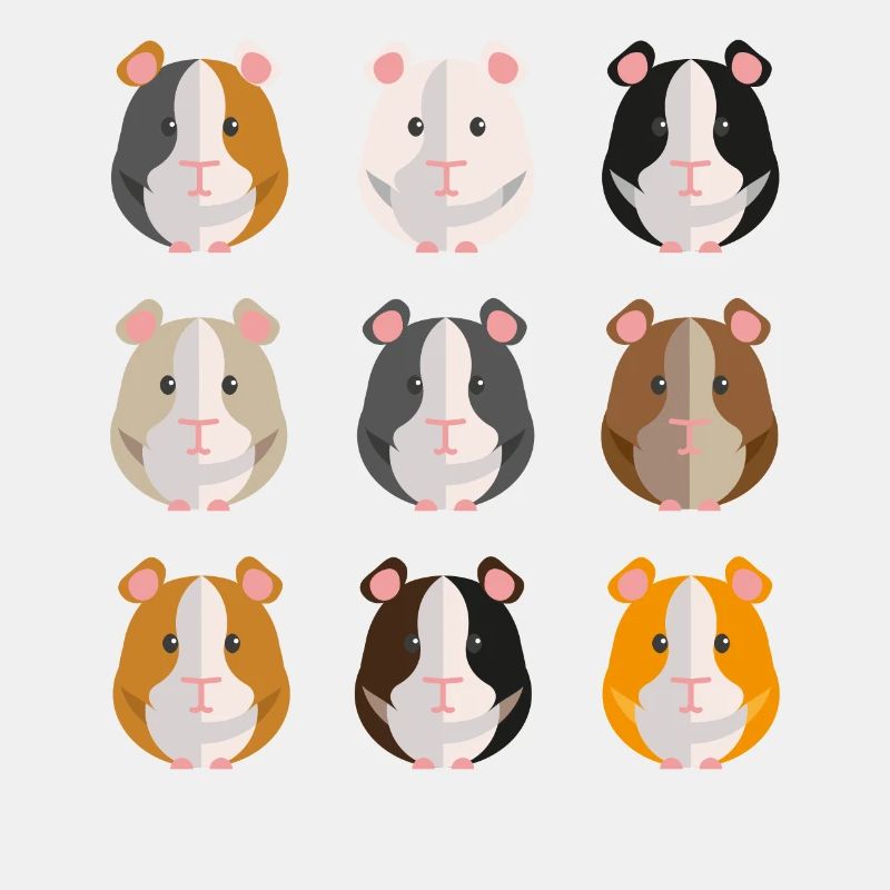 Famille de gangs de cochons d'Inde
