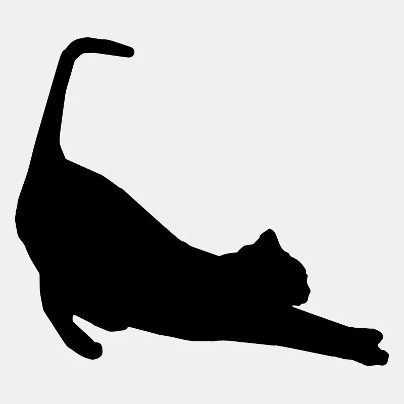 Katze