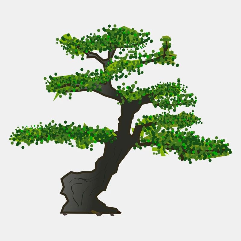 Bonsai
