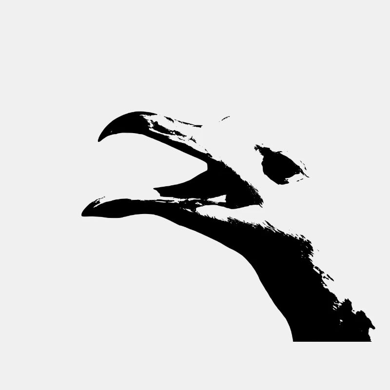 Möwe