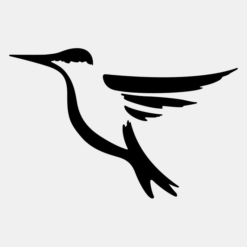 Hummingbird 2 - idée de cadeau d'oiseau