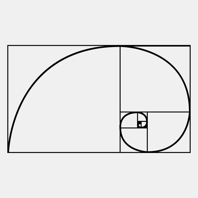 Fibonacci nature spiral
