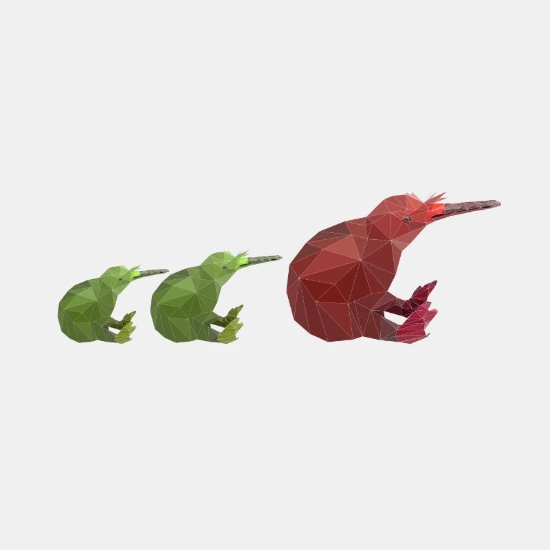 Kiwi