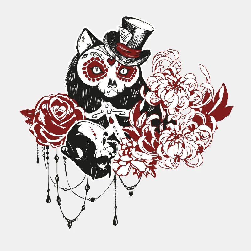 Schädel Katze