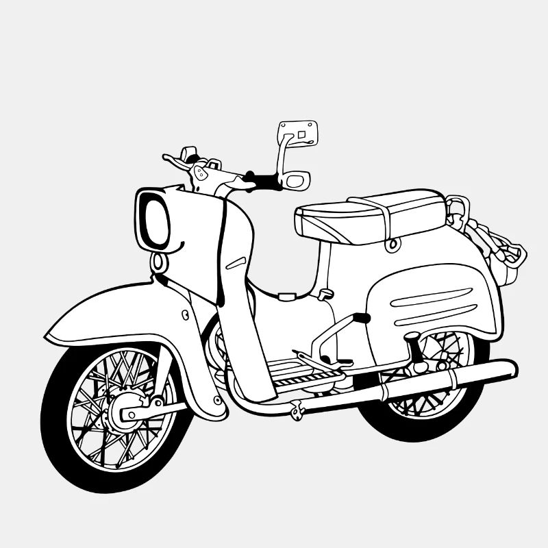 Simson swallow