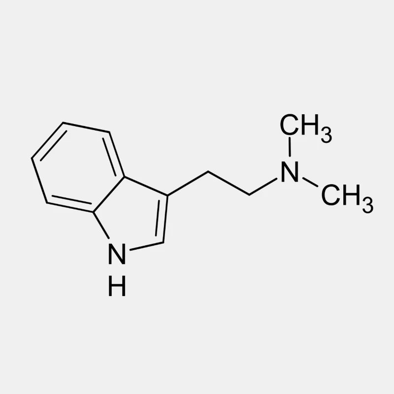 DMT molecule