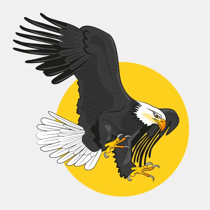 american eagle sun