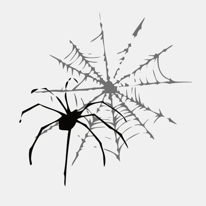 cobweb
