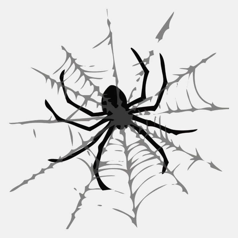 spinnennetz