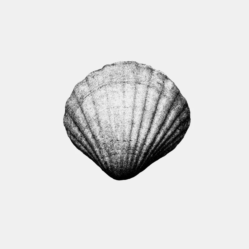 shell