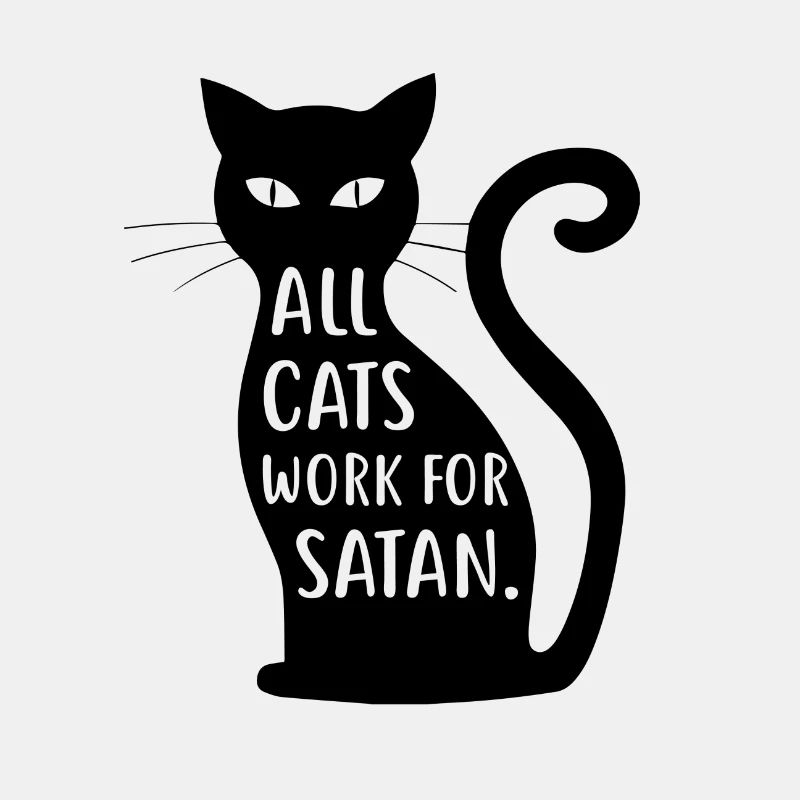 schwarze Katze
