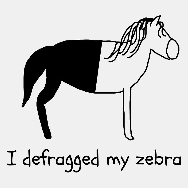 Defragged Zebra