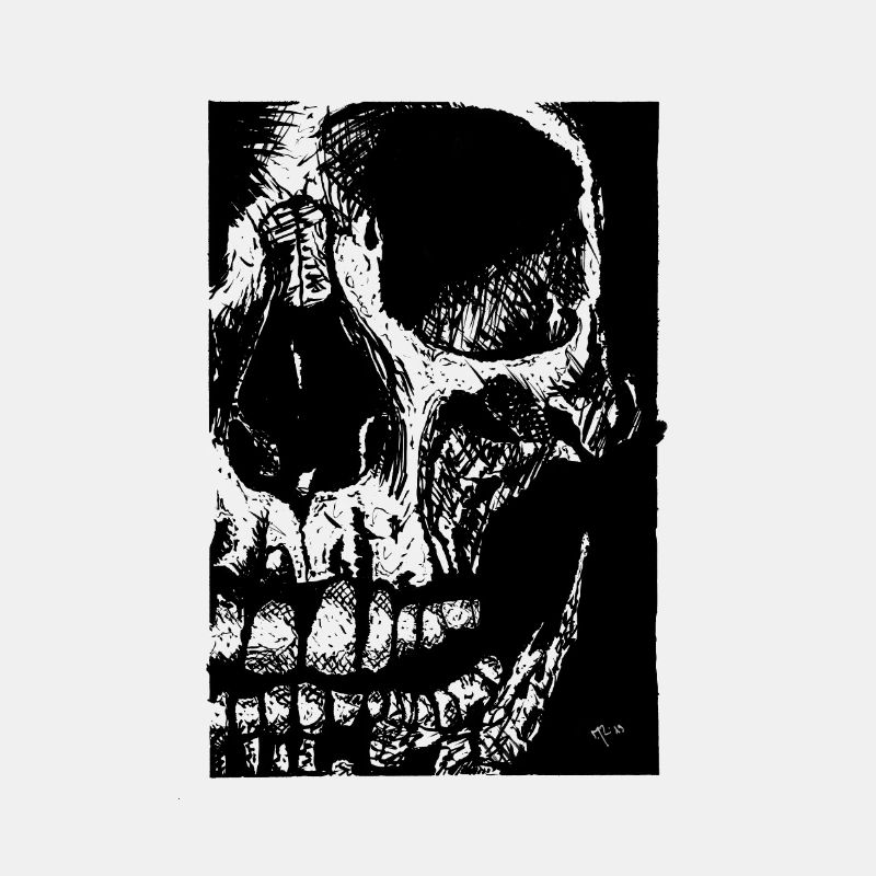 Skull Bones Ink Drawing