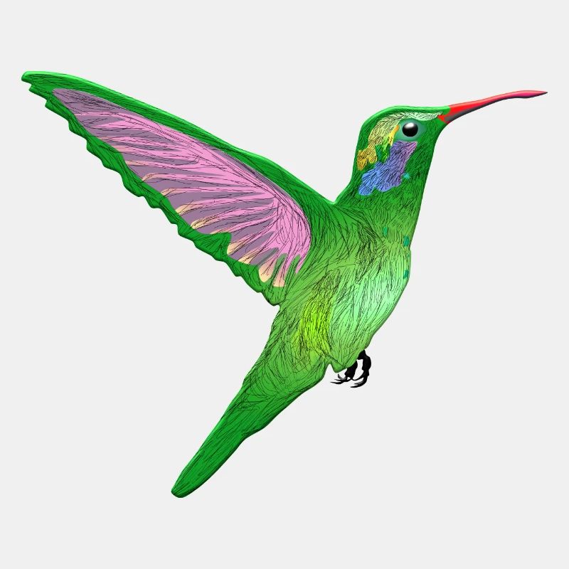 Kolibri