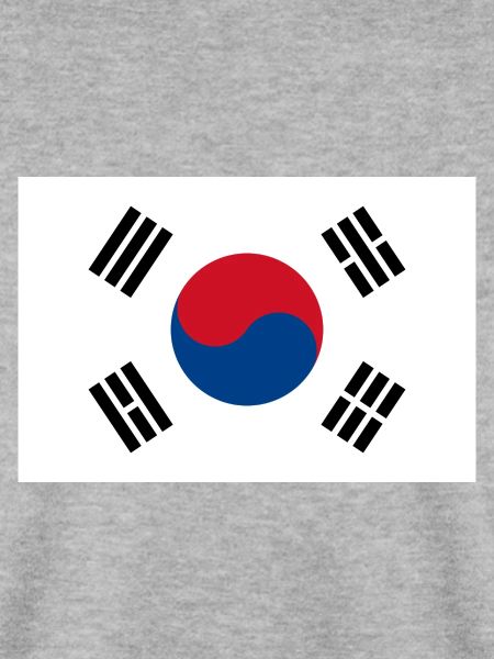 Südkorea-Flagge