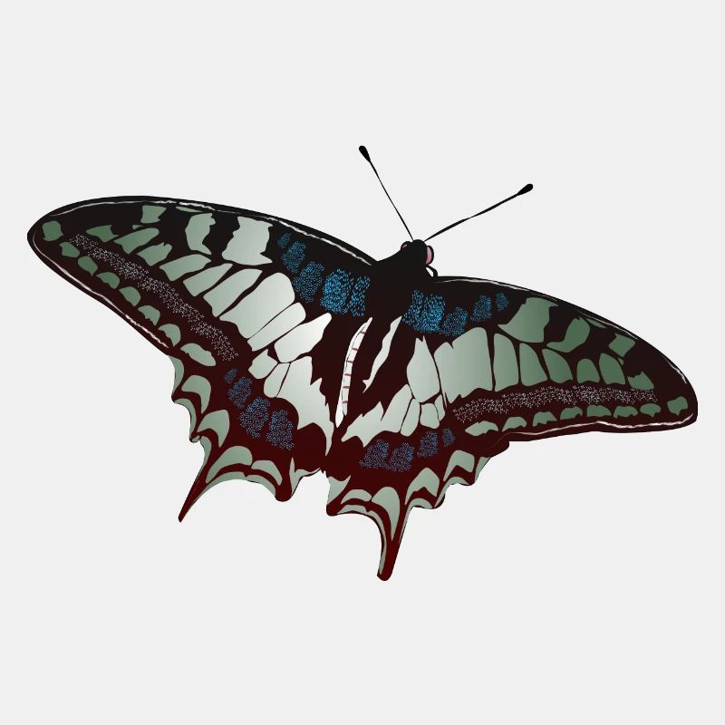 Papillon papillon papillons