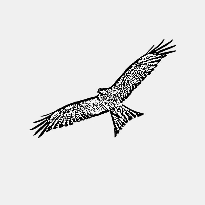Bird of prey