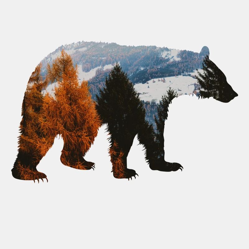 Bärenwald-Abenteuer