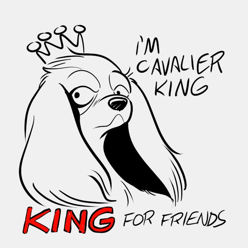 Cavalier King für Freunde