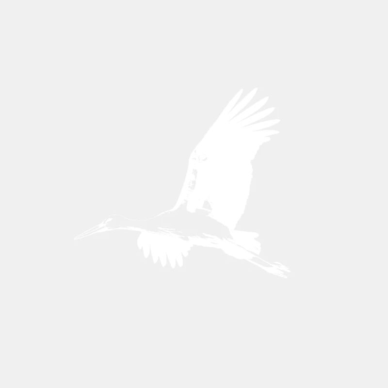 Storch