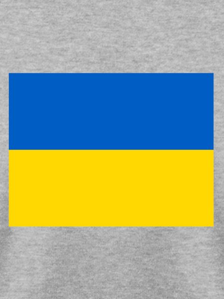 Ukraine Flagge