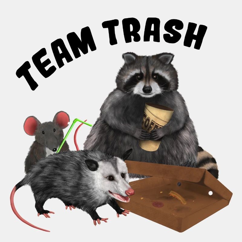 Racoon Opossum Mouse - Team Trash