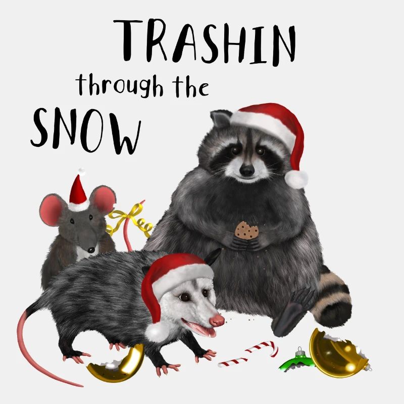 Noël - Racoon Mouse Rat Opossum