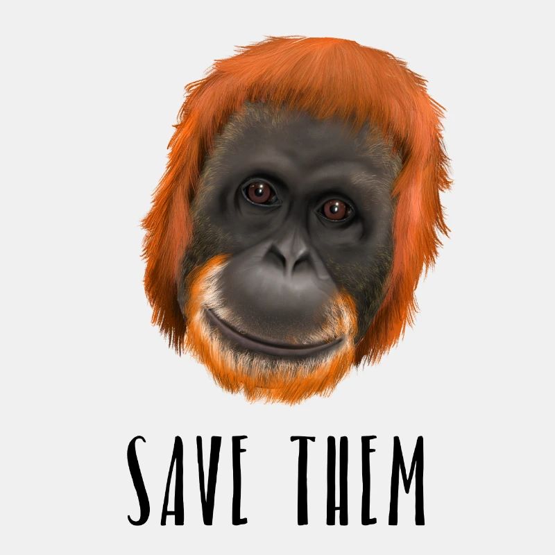 Monkey Ape Orang Utan - save them