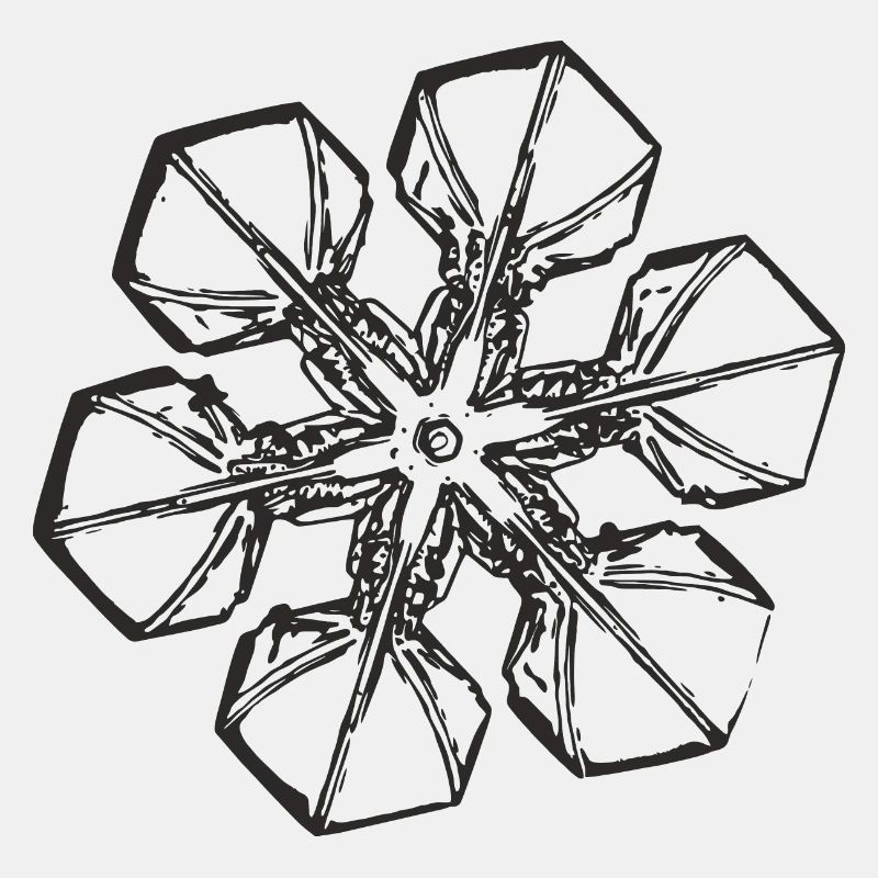 snowflake 2 black