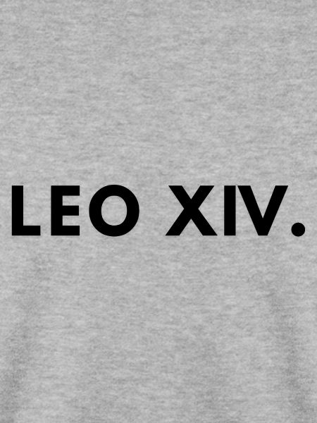 Papst Leo XIV 14
